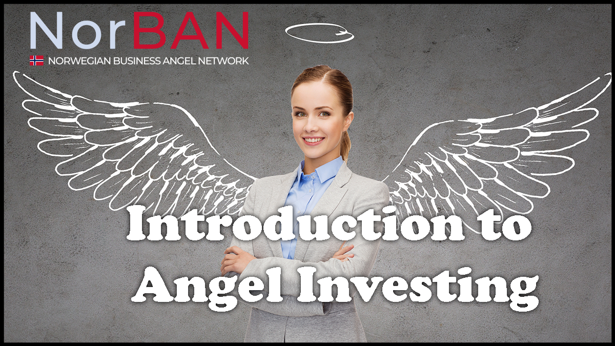 Introduction to Angel Investing banner: woman with drawn angel wings and the NorBAN logo